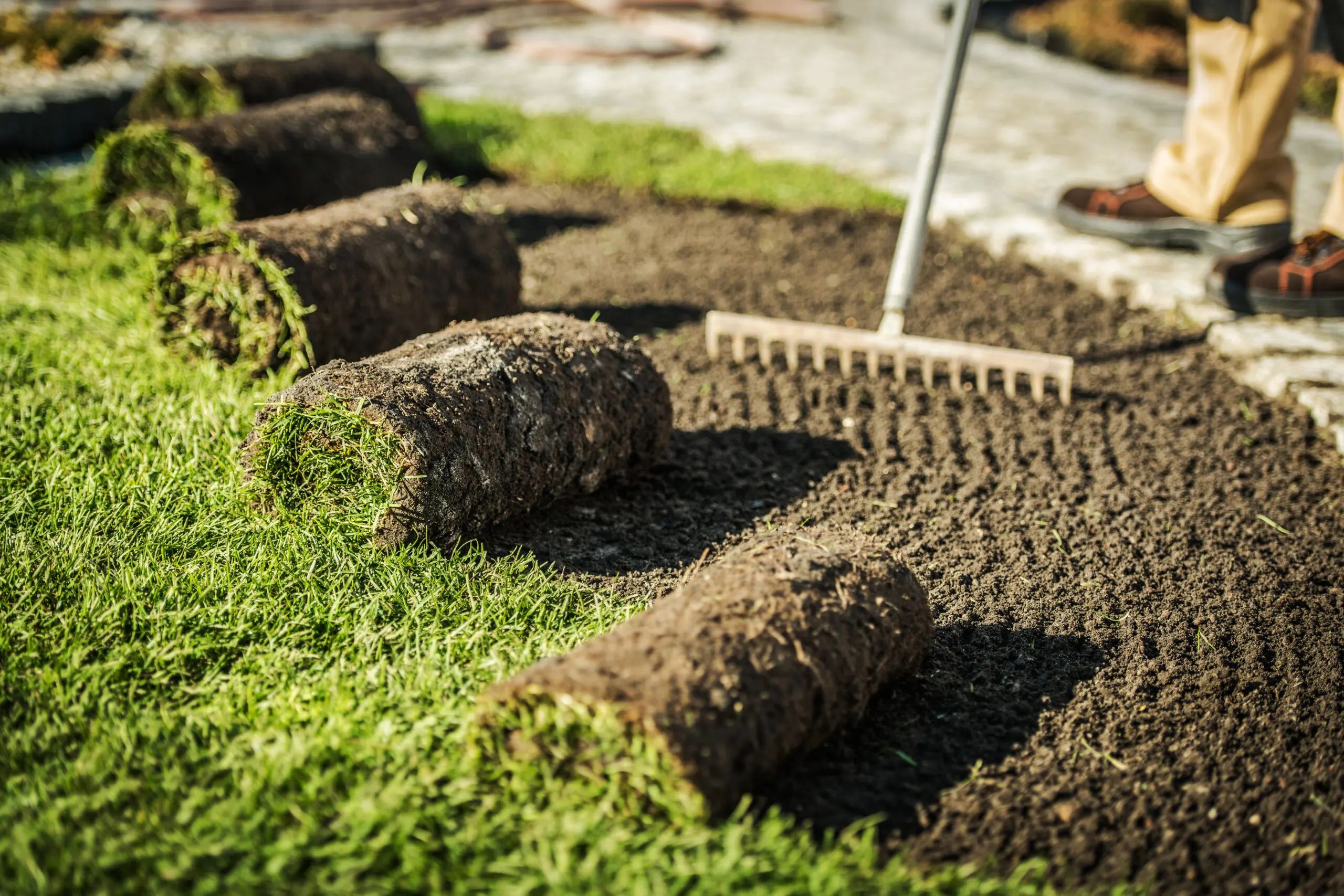 Sod care for homeowners.