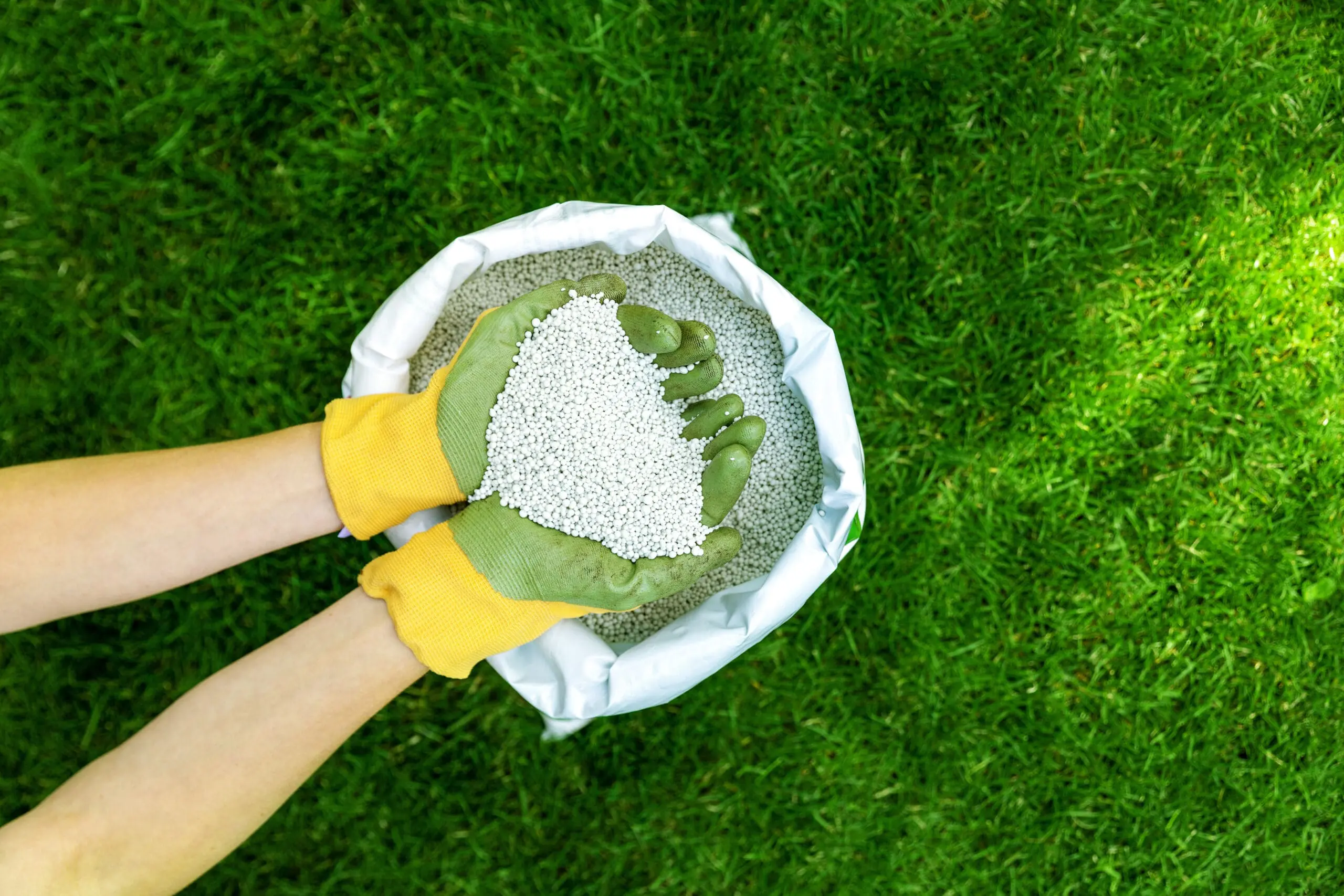 The Secret Sauce to a Green Lawn in Midland (Hint: It&rsquo;s Not Just Water)