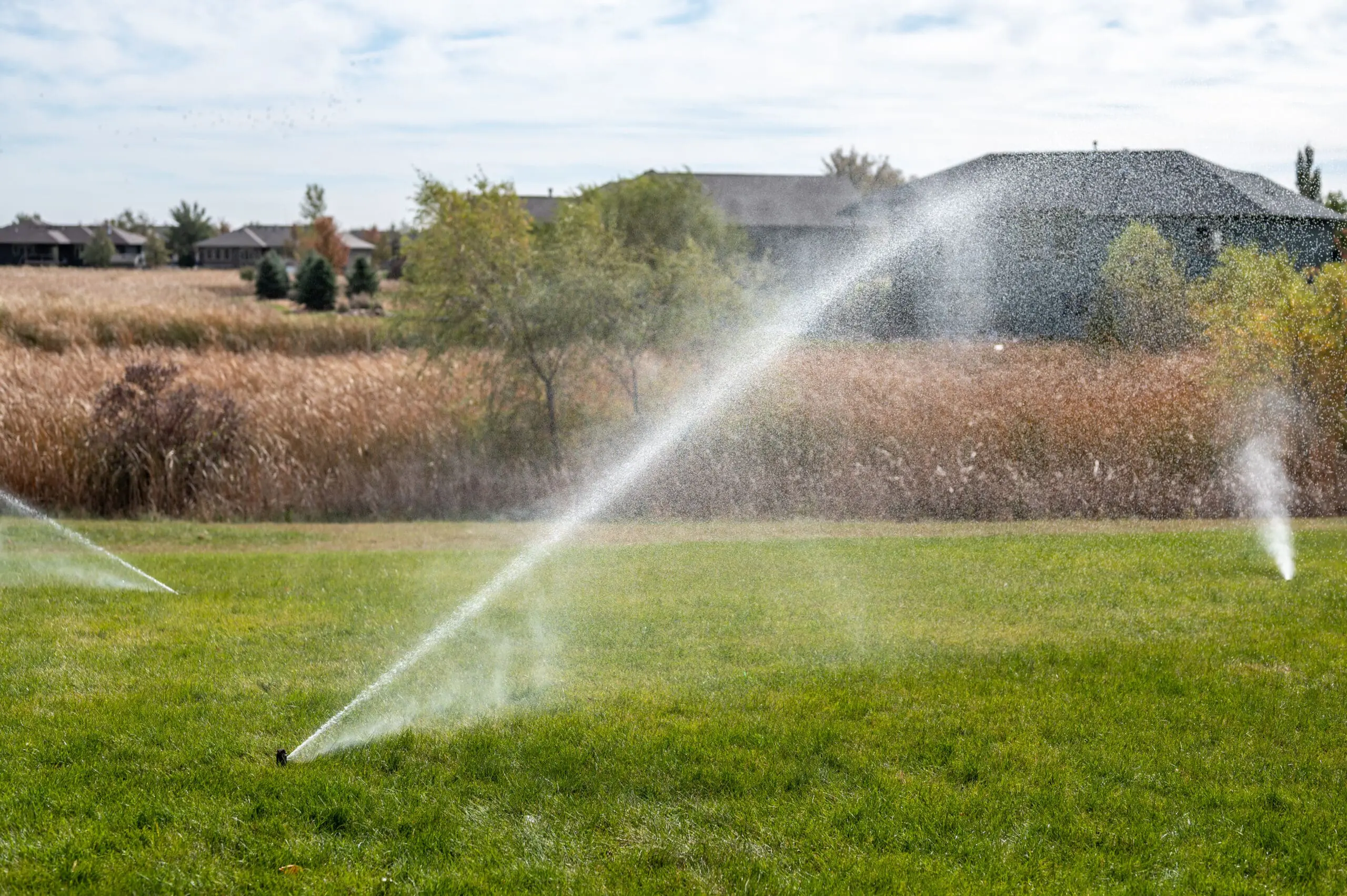 West Texas Lawn & Landscape Tips for April: What to Do Now (Before the Heat Hits)