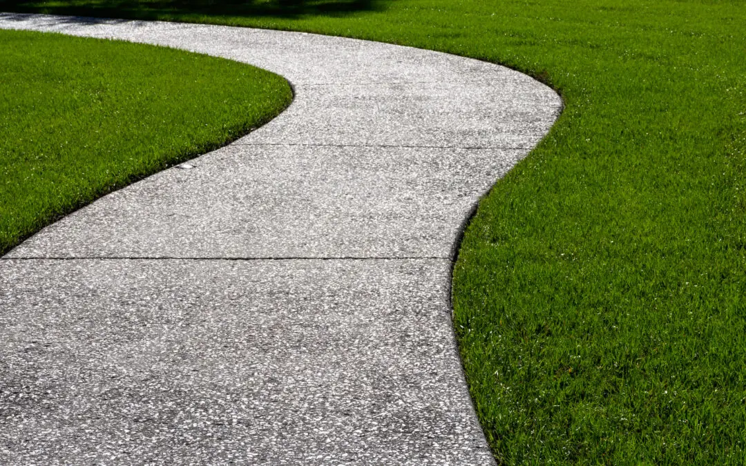 The #1 Grass Midland Homeowners Swear By (It Uses WAY Less Water Than You Think!)