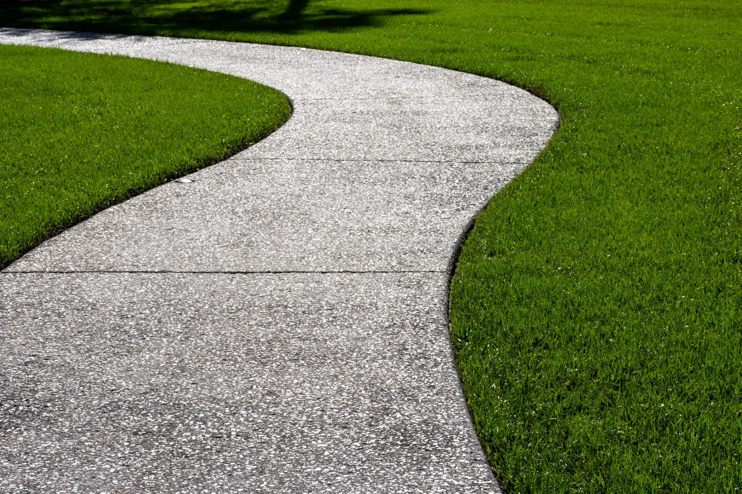 The #1 Grass Midland Homeowners Swear By (It Uses WAY Less Water Than You Think!)