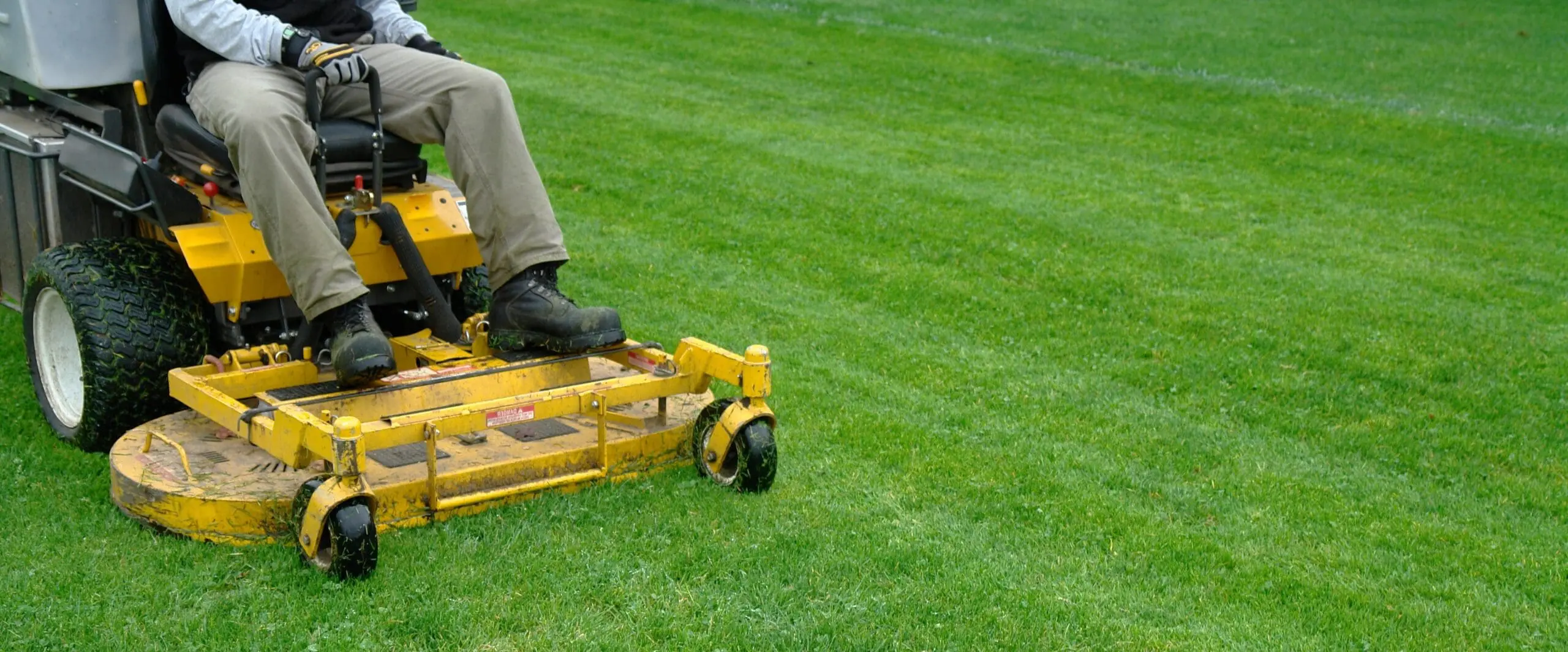 What is involved in maintaining a landscape in Midland, TX?