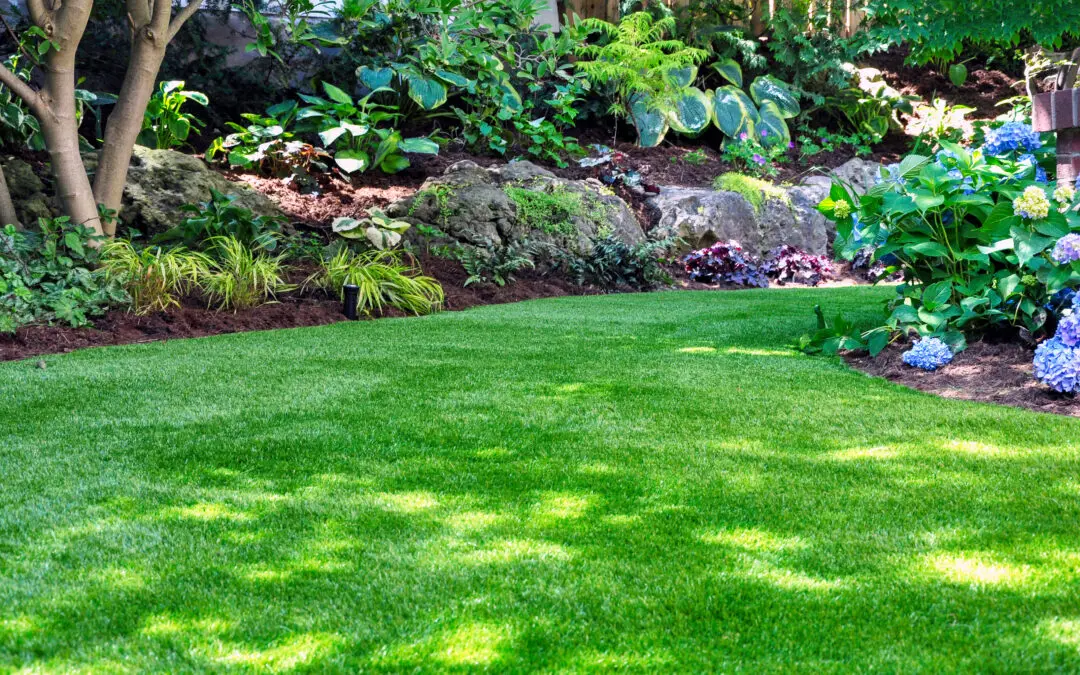 Sunday Q&A: Midland Lawn Care and Irrigation Questions We Hear Every Week