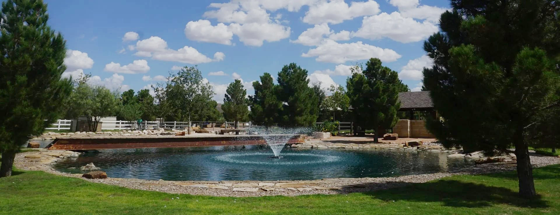 Landscape design and installation in Midland, Tx.