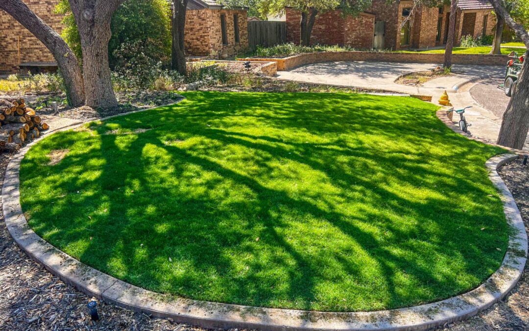 Embrace the Fresh Start of Spring: A Guide to Installing New Sod