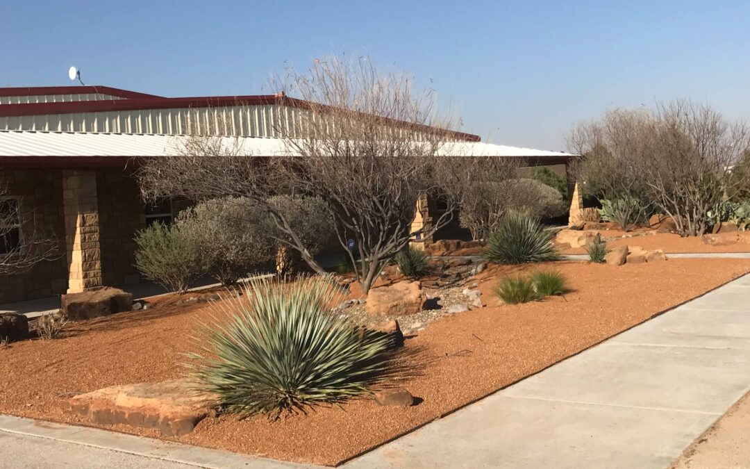 Xeriscaping is a great choice in Midland, TX.