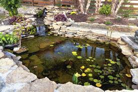 Back yard water feature.