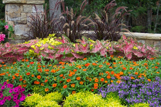 Embracing the Beauty of Spring: Landscaping Tips for Midland, Texas