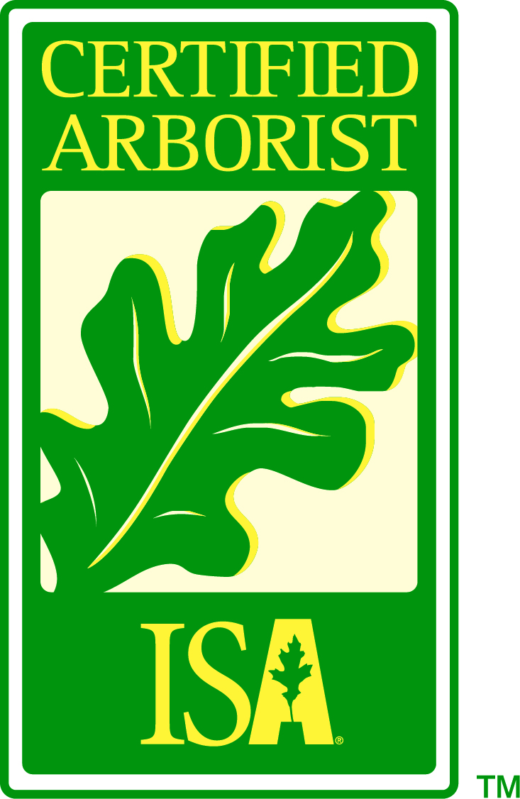 ISA Certified Arborist in Midland, TX.