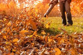 Leaf removal in Midland, TX.