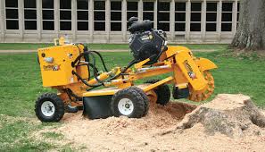 Stump grinding after a tree is removed is an essential service that provides a clean look to your landscape. 