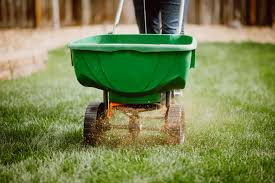 The Essential Guide to Pre-Emergent Herbicides for Your Lawn