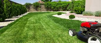 Lawn care services in Odessa, TX.